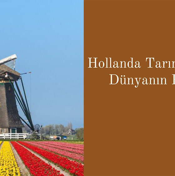 Hollanda tarımda neden dünyanın en başarılı ülkesi
